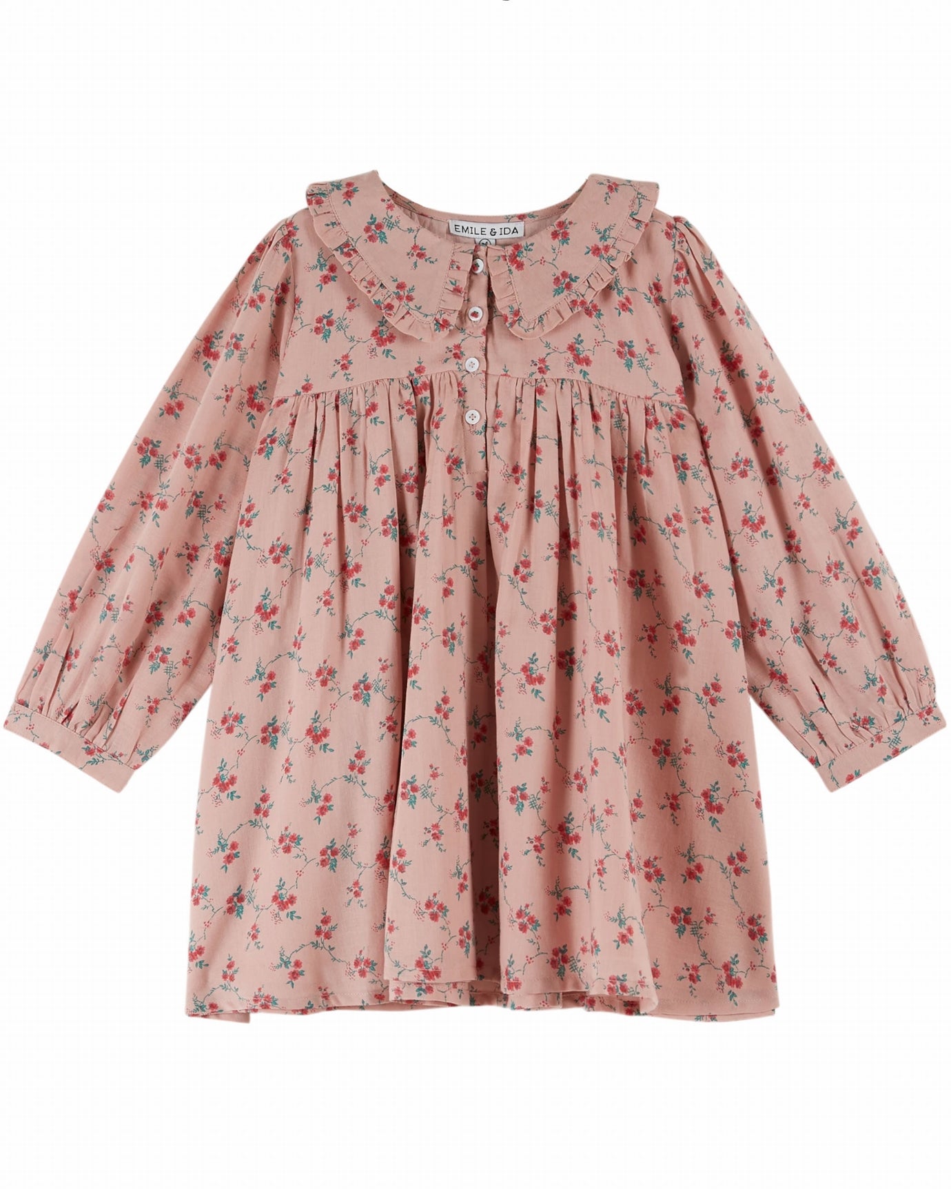 Aster Print Long Sleeve Gathered Panel Ruffle Collar Cotton Dress