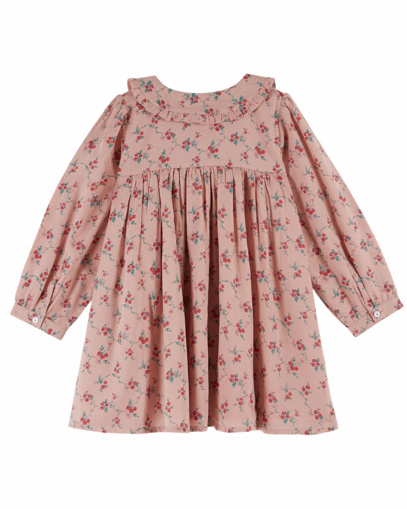 Aster Print Long Sleeve Gathered Panel Ruffle Collar Cotton Dress